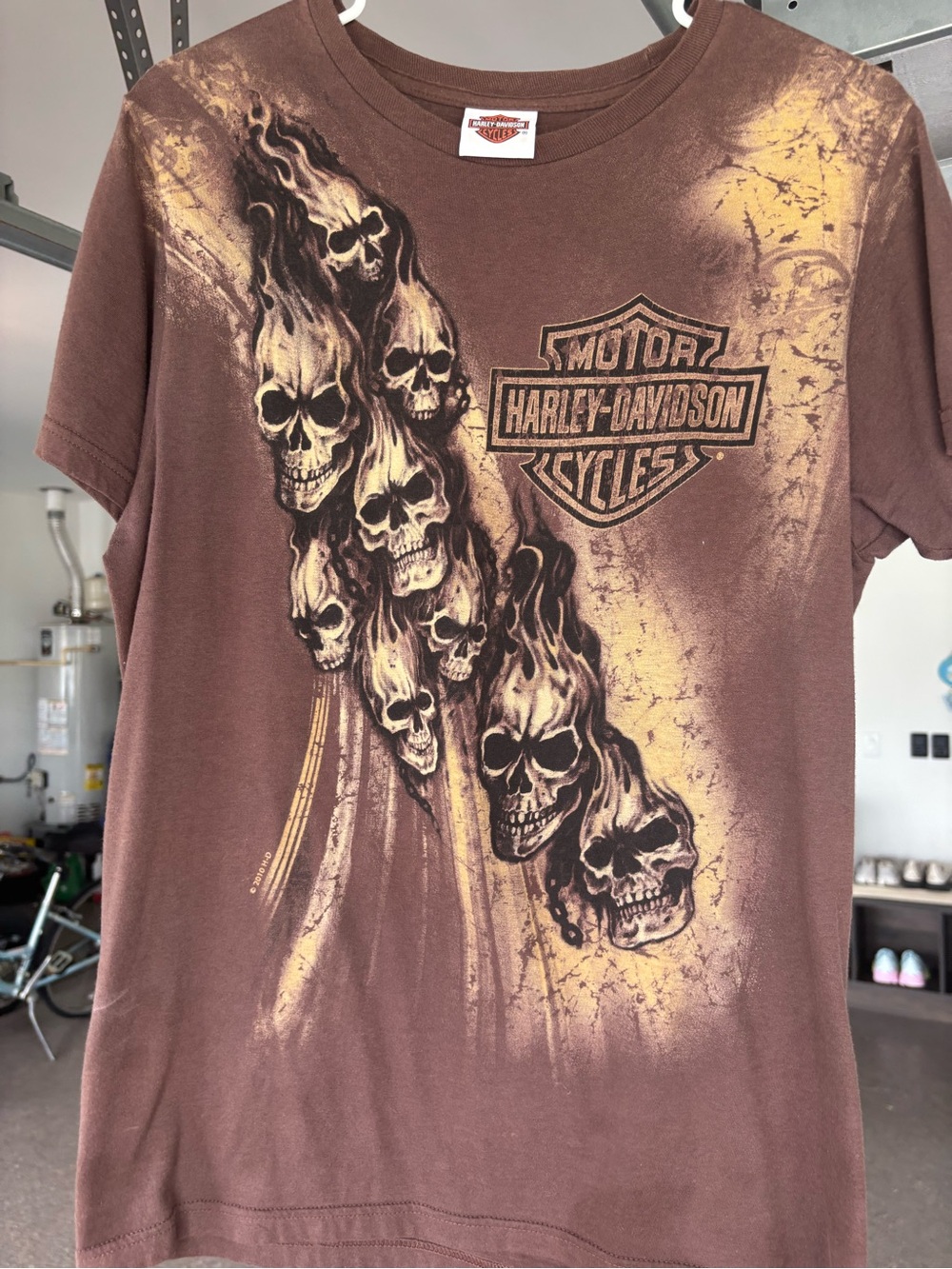 Harley-Davidson Men's Brown Graphic T‑Shirt